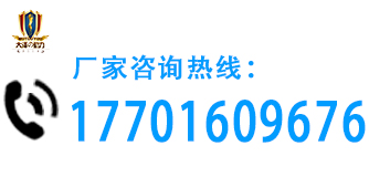 大泽动力官网,高原柴油发电机,车载小型发电机